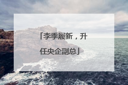 李季履新，升任央企副总