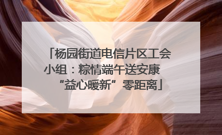杨园街道电信片区工会小组：粽情端午送安康 “益心暖新”零距离