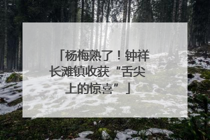 杨梅熟了！钟祥长滩镇收获“舌尖上的惊喜”