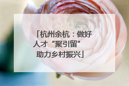 杭州余杭：做好人才“聚引留” 助力乡村振兴