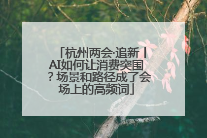 杭州两会·追新丨AI如何让消费突围？场景和路径成了会场上的高频词
