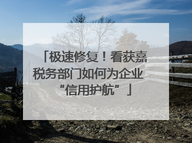 极速修复！看获嘉税务部门如何为企业“信用护航”