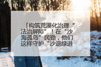 构筑荒漠化治理“法治屏障”！在“沙海孤岛”民勤，他们这样守护“沙退绿进”的生态奇迹