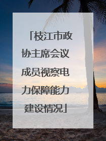 枝江市政协主席会议成员视察电力保障能力建设情况