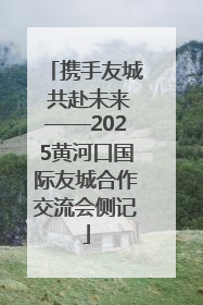 携手友城 共赴未来——2025黄河口国际友城合作交流会侧记