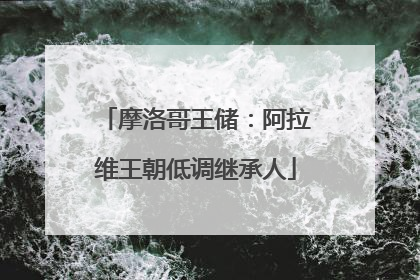 摩洛哥王储：阿拉维王朝低调继承人