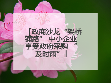政商沙龙“架桥铺路” 中小企业享受政府采购 “及时雨”