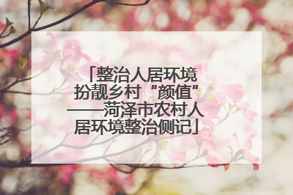 整治人居环境 扮靓乡村“颜值”——菏泽市农村人居环境整治侧记
