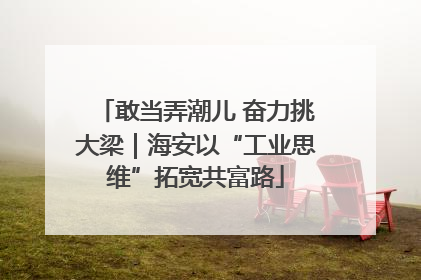 敢当弄潮儿 奋力挑大梁｜海安以“工业思维”拓宽共富路