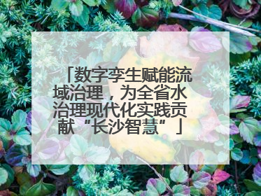 数字孪生赋能流域治理，为全省水治理现代化实践贡献“长沙智慧”