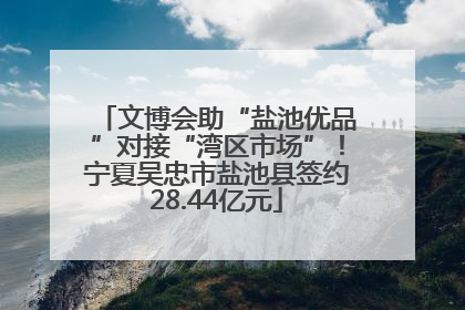 文博会助“盐池优品”对接“湾区市场”！宁夏吴忠市盐池县签约28.44亿元
