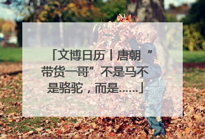 文博日历丨唐朝“带货一哥”不是马不是骆驼，而是……