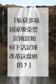 斩获多项国家级荣誉 定南是如何下活足球改革这盘棋的？