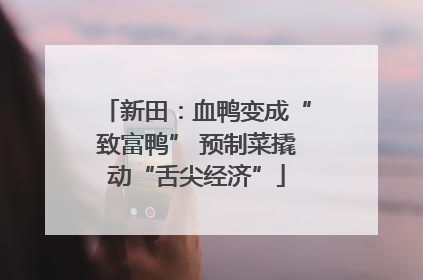 新田：血鸭变成“致富鸭” 预制菜撬动“舌尖经济”