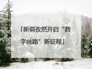 新疆孜然开启“数字丝路”新征程