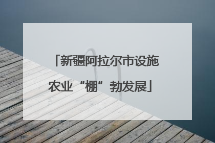 新疆阿拉尔市设施农业“棚”勃发展