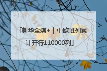 新华全媒+｜中欧班列累计开行110000列