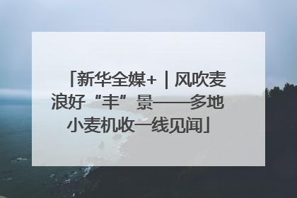 新华全媒+｜风吹麦浪好“丰”景——多地小麦机收一线见闻