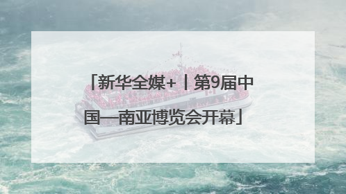 新华全媒+丨第9届中国—南亚博览会开幕