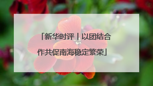 新华时评丨以团结合作共促南海稳定繁荣
