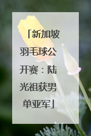 新加坡羽毛球公开赛：陆光祖获男单亚军