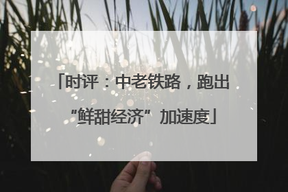 时评：中老铁路，跑出“鲜甜经济”加速度