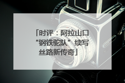 时评：阿拉山口“钢铁驼队”续写丝路新传奇