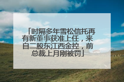 时隔多年雪松信托再有新董事获准上任，来自二股东江西金控，前总裁上月刚被罚