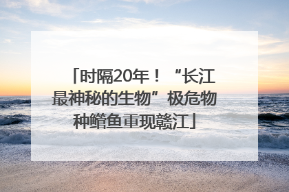 时隔20年！“长江最神秘的生物”极危物种鳤鱼重现赣江