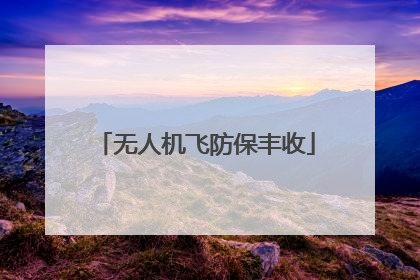 无人机飞防保丰收
