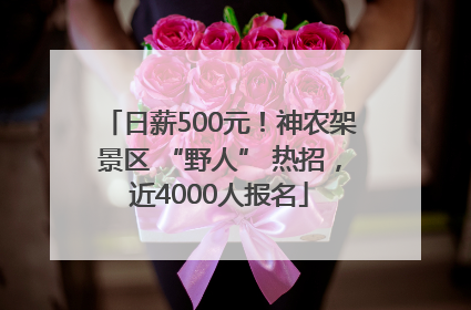 日薪500元！神农架景区 “野人” 热招，近4000人报名