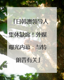 日韩澳领导人集体缺席！外媒曝光内幕：与特朗普有关