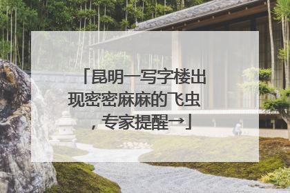 昆明一写字楼出现密密麻麻的飞虫，专家提醒→