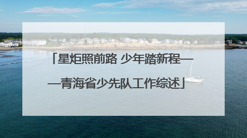星炬照前路 少年踏新程——青海省少先队工作综述