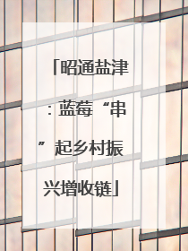 昭通盐津：蓝莓“串”起乡村振兴增收链
