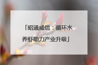 昭通威信：循环水养虾助力产业升级