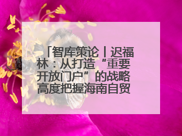 智库策论丨迟福林：从打造“重要开放门户”的战略高度把握海南自贸港的核心政策
