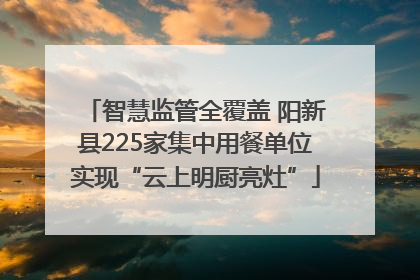 智慧监管全覆盖 阳新县225家集中用餐单位实现“云上明厨亮灶”
