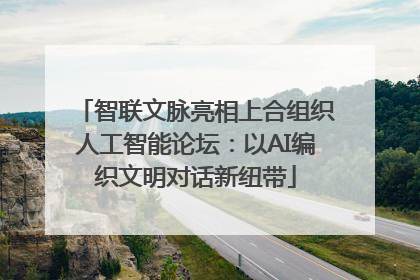 智联文脉亮相上合组织人工智能论坛：以AI编织文明对话新纽带