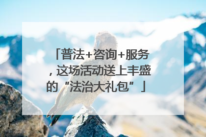 普法+咨询+服务，这场活动送上丰盛的“法治大礼包”