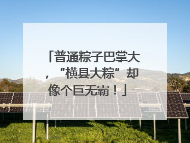 普通粽子巴掌大，“横县大粽”却像个巨无霸！
