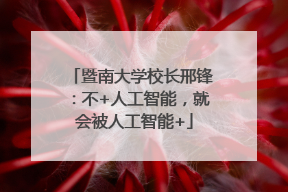暨南大学校长邢锋：不+人工智能，就会被人工智能+