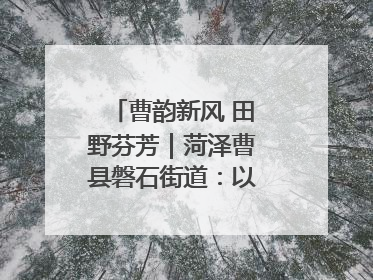 曹韵新风 田野芬芳｜菏泽曹县磐石街道：以歌为媒 唱响乡土“新歌声”