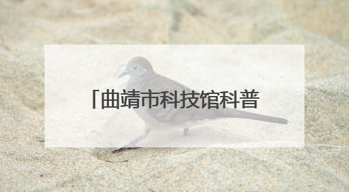 曲靖市科技馆科普大篷车走进金龙小学点燃学生科学梦想