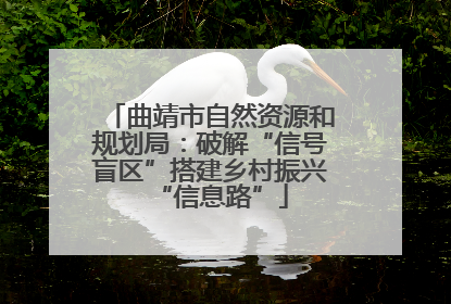 曲靖市自然资源和规划局：破解“信号盲区”搭建乡村振兴“信息路”