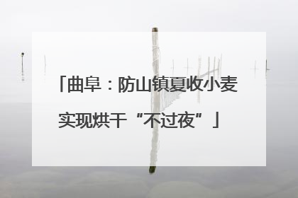 曲阜：防山镇夏收小麦实现烘干“不过夜”