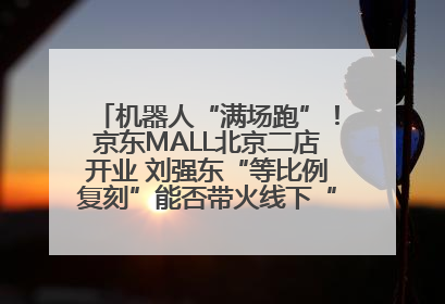 机器人“满场跑”！京东MALL北京二店开业 刘强东“等比例复刻”能否带火线下“618”？