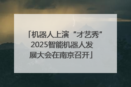 机器人上演“才艺秀” 2025智能机器人发展大会在南京召开