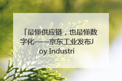 最懂供应链，也最懂数字化——京东工业发布Joy Industrial 重塑工业未来