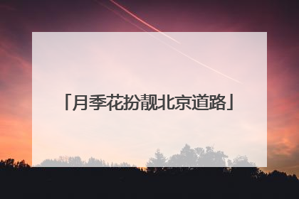 月季花扮靓北京道路